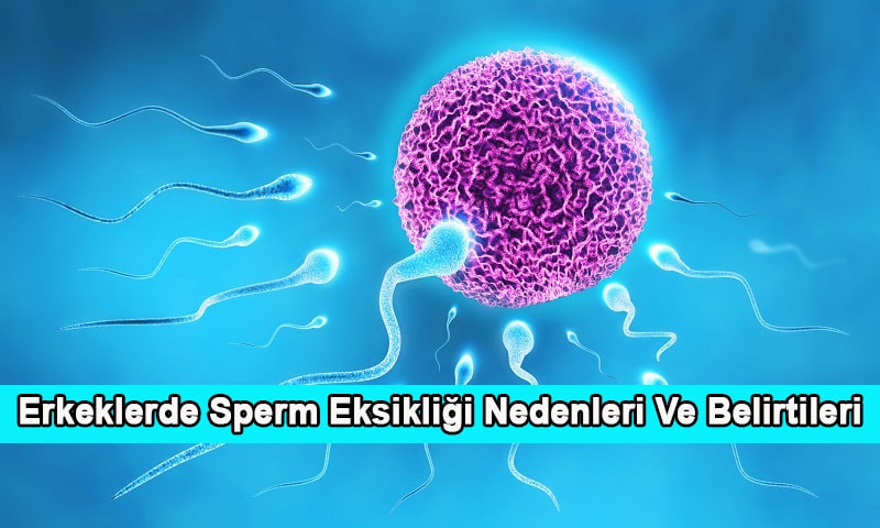 Erkeklerde Sperm Eksikliği Nedenleri Ve Belirtileri