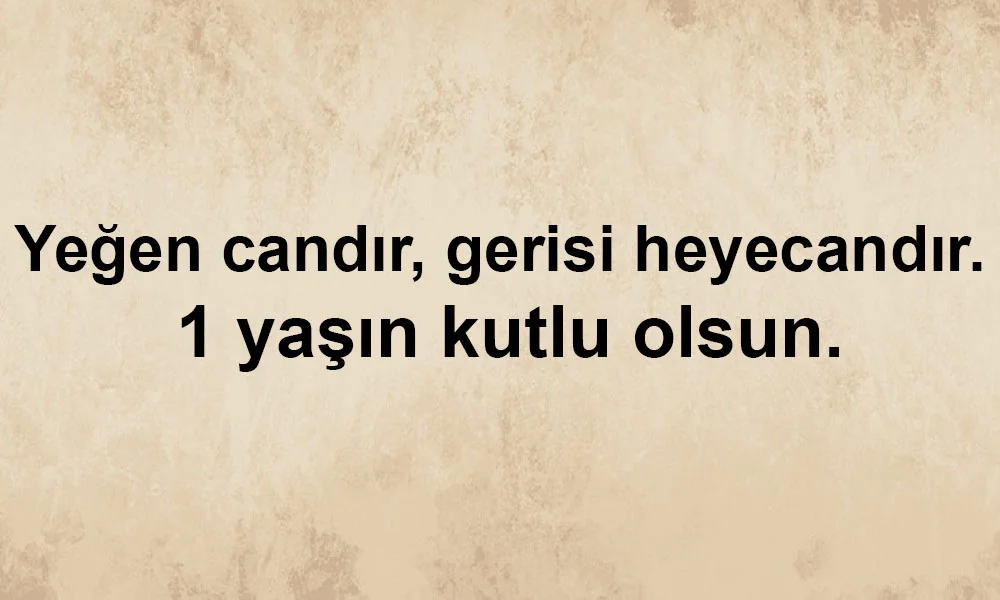 Yeğene 1 Yaş Doğum Günü Mesajları Yeğene 1 Yaş Doğum Günü Mesajları